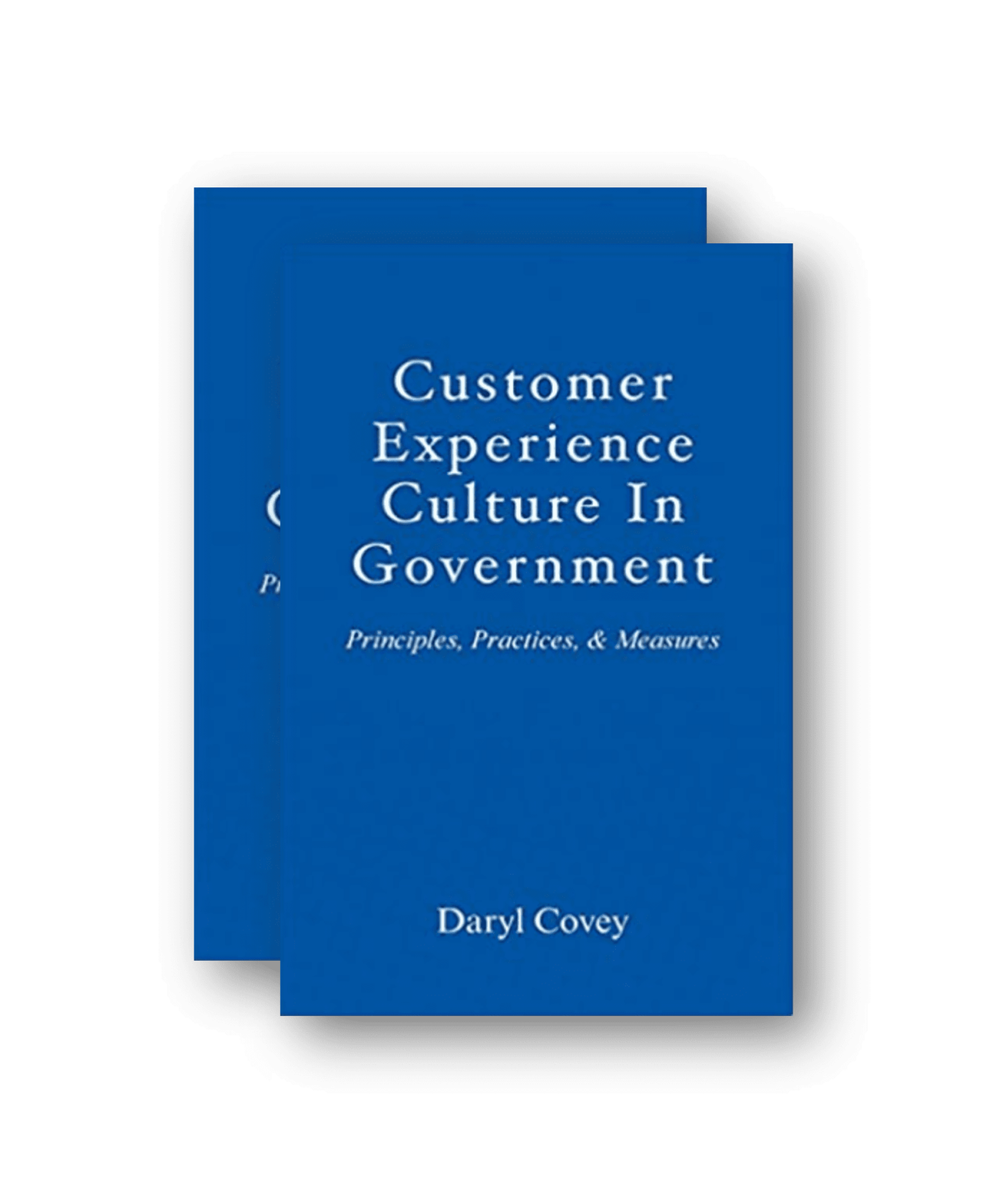 Customer Experience Culture in Government